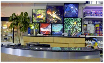 Tropical Illusion Thousand Oaks