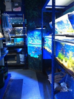 Underwater Depot Sherman Oaks