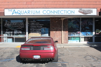 Aquarium Connection Simi Valley