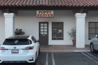 Puppy Heaven Agoura Hills