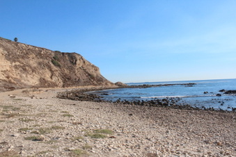 Royal Palms State Beach