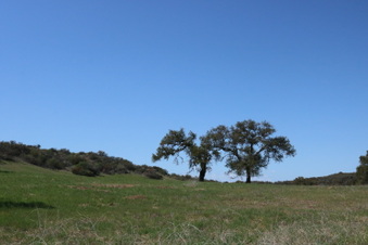 Ventura Farms Upper Mesa