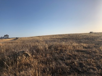 Ahmanson Mary Weisbrock