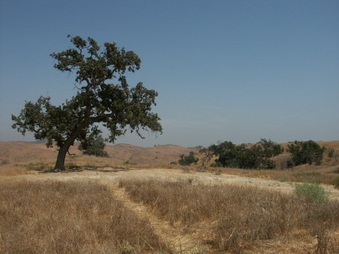 Ahmanson Ranch Calabasa North