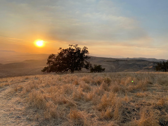 Farms near Chatsworth