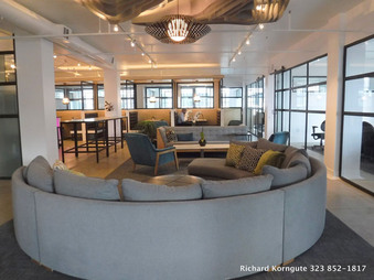 Korngute Tan 9 Los Angeles