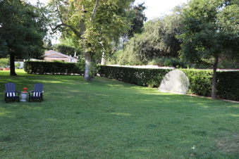 HSH 1723 Welsh Chapman Woods