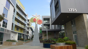 1725 Ocean and Vicinity- SM