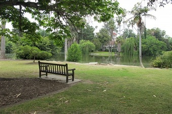 LA Arboretum- Arcadia