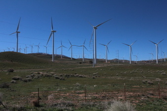 Cal Wind Farms