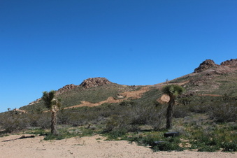 Silver Queen at Mine