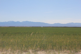 Ave K and 110th East