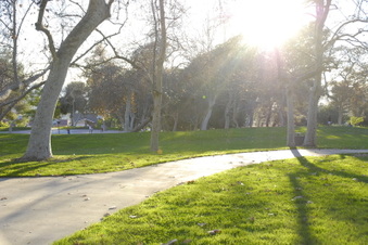 Brace Canyon Park Burbank