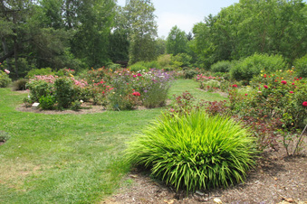 Descanso Gardens- La Canada