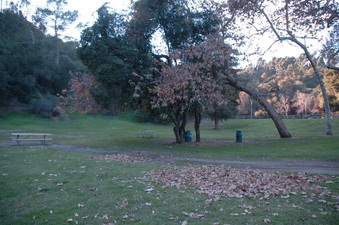 Griffith Park Boy Scout Rd