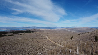 Inyo National Forest