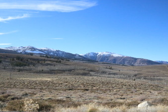 More Mammoth Options