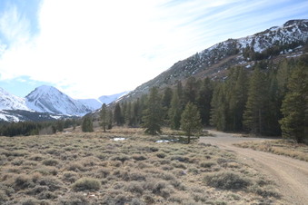 Dundeberg Meadow Road