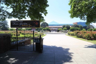Exposition Rose Garden