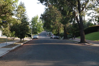 Cheviot Drive