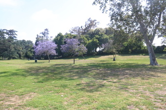Cheviot Hills Park - West LA