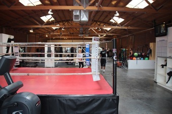 Hayden Boxing Gym