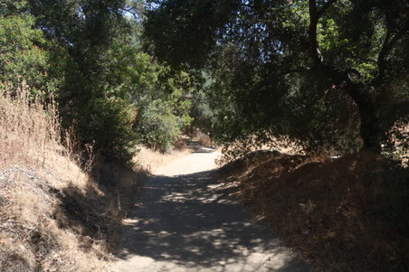 Griffith Park Hiking Zoo Trail