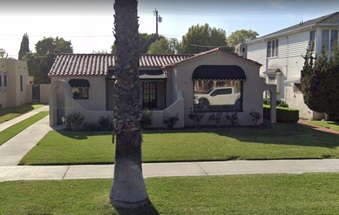 511 Clementine Steve Fenn