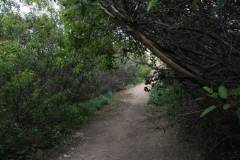 Parking Lot Upper Trail
