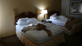 Enlarge photo 76