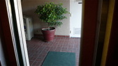 Enlarge photo 91