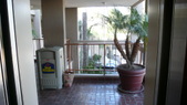 Enlarge photo 92