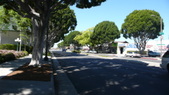 Enlarge photo 33