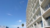 Enlarge photo 74