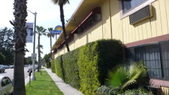 Enlarge photo 49