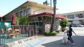 Enlarge photo 59