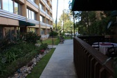 Enlarge photo 63