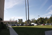 Enlarge photo 78