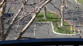 Enlarge photo 92