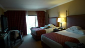 Enlarge photo 99