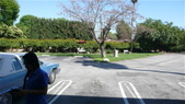 Enlarge photo 50