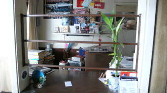 Enlarge photo 11