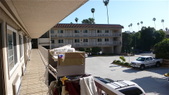 Enlarge photo 54