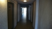 Enlarge photo 65