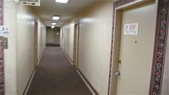 Enlarge photo 56