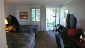 Enlarge photo 84