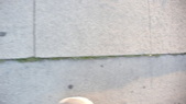 Enlarge photo 54