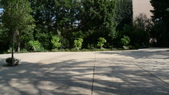 Enlarge photo 131