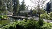 Enlarge photo 137