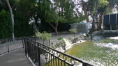 Enlarge photo 142